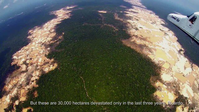 Shocking Images of Environmental Devastation in Peruvian Rainforest