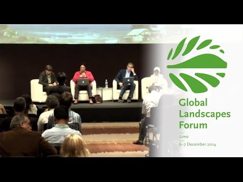 Making Forest Information Systems Work for REDD+ and Beyond