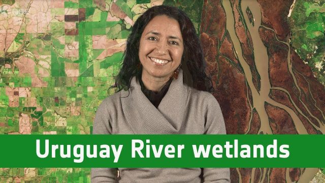 Earth from Space: Uruguay River Wetlands