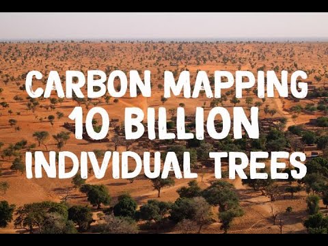NASA Maps Carbon of 10 Billion Individual Trees
