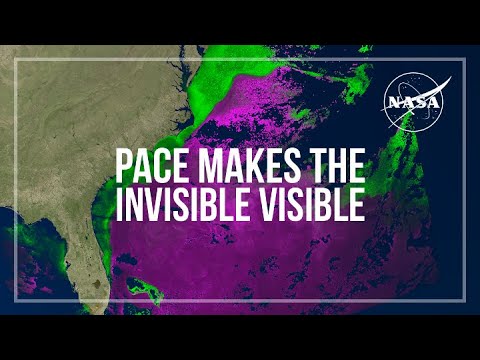 PACE Makes the Invisible Visible